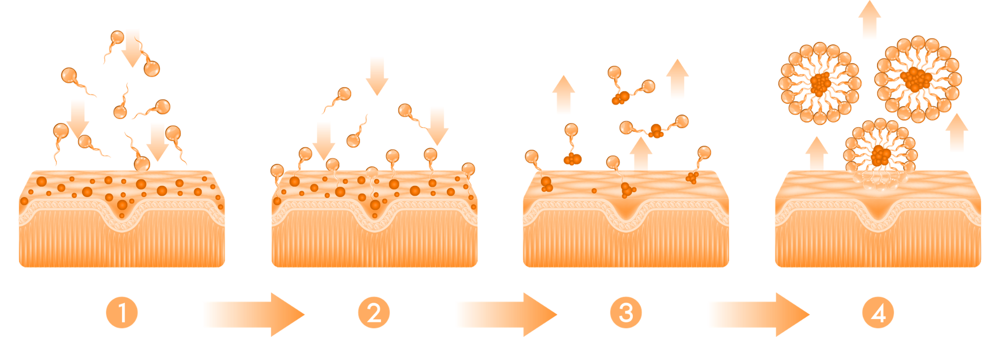 Inolab Derma chính thức ra mắt Dầu tẩy trang Depure Oil: Ứng dụng công nghệ vi nhũ sạch sâu đa tầng cho da- Ảnh 2.