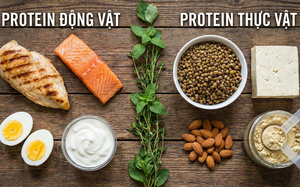 Protein động vật và protein thực vật - loại nào tốt hơn?