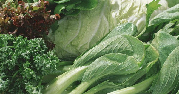 Top 5 loại rau xanh giàu canxi hơn sữa: Giải pháp tự nhiên cho xương chắc khỏe