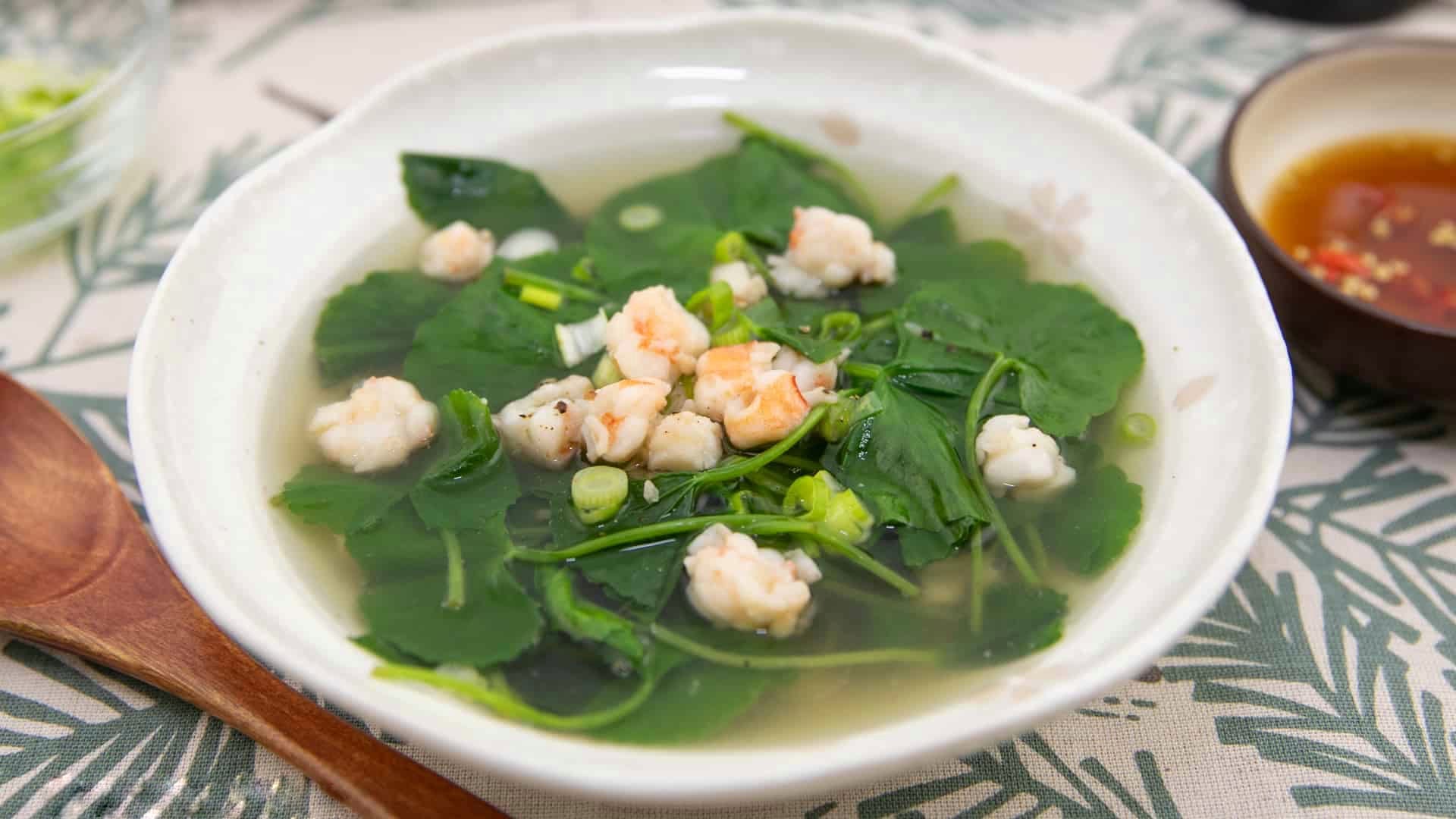 Giải nhiệt, thanh lọc cơ thể với rau má- Ảnh 3. Giải nhiệt, thanh lọc cơ thể với rau má- Ảnh 3.