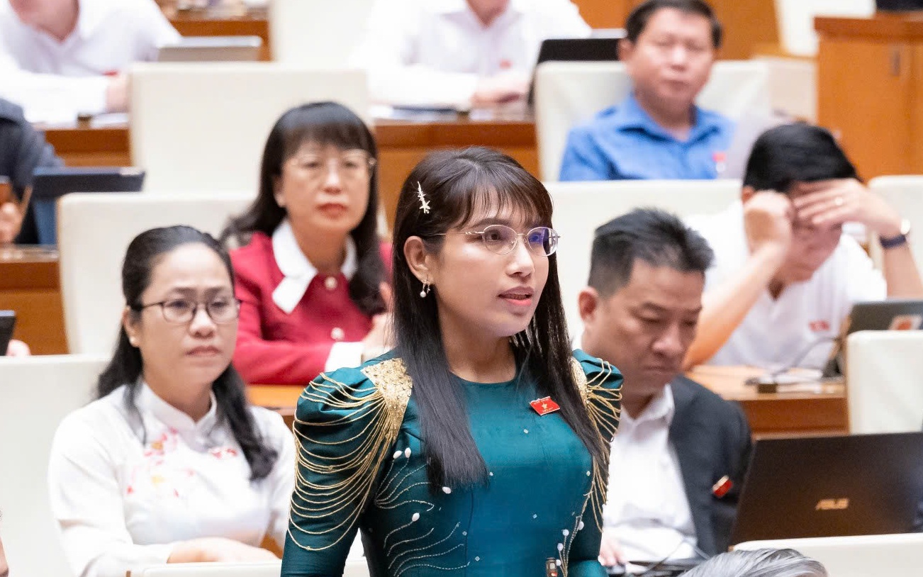 ĐBQH: Tăng thu không được làm suy giảm động lực sản xuất, kinh doanh- Ảnh 3.