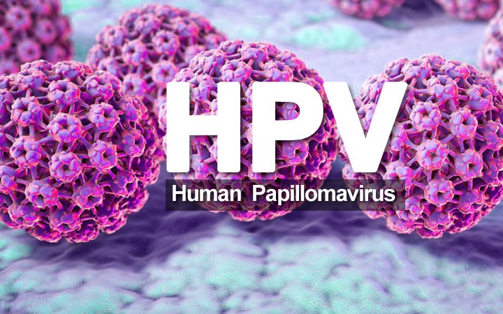 Các dấu hiệu sớm của ung thư dương vật- Ảnh 2. HPV có gây ung thư dương vật không?