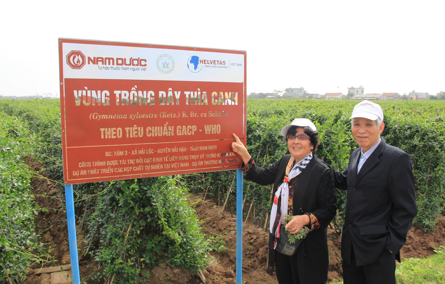 Diabetna 19 năm đồng hành cùng người tiểu đường: Khoa học vững vàng - Trọn vẹn niềm tin- Ảnh 3. Diabetna 19 năm đồng hành cùng người tiểu đường: Khoa học vững vàng - Trọn vẹn niềm tin- Ảnh 3.