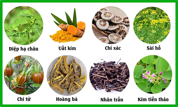Vì sao sỏi mật hay tái phát và cách phòng ngừa hiệu quả- Ảnh 3. Vì sao sỏi mật hay tái phát và cách phòng ngừa hiệu quả- Ảnh 3.