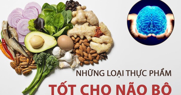 Các chất bổ sung cải thiện trí nhớ trong mùa thi: Hiểu đúng để dùng hiệu quả