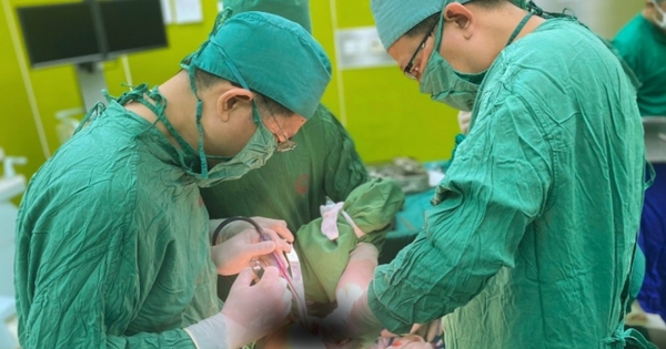 Y Tế