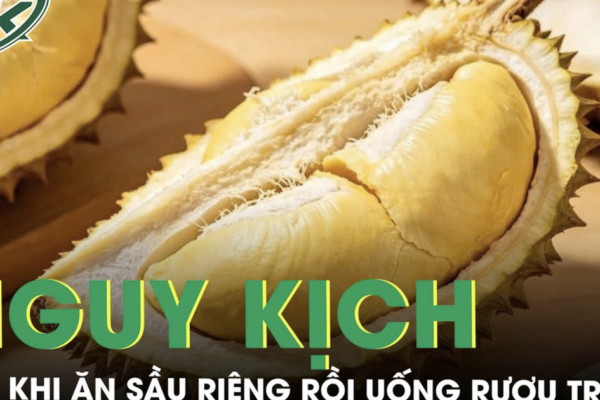 Người phụ nữ nguy kịch sau khi ăn sầu riêng rồi uống rượu trắng trong tiệc