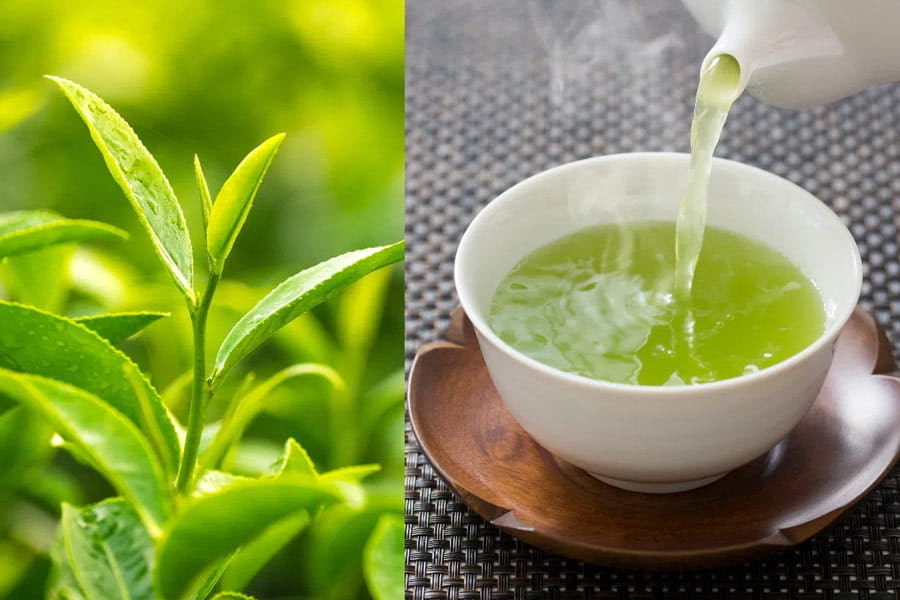 Bí quyết uống trà giúp đốt cháy calo và giảm cân nhanh hơn- Ảnh 1. Bí quyết uống trà giúp đốt cháy calo và giảm cân nhanh hơn- Ảnh 1.