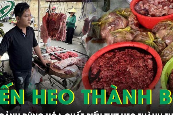 Cận cảnh quy trình dùng hóa chất ‘biến’ 65 tấn thịt heo thành thịt bò ở TP.HCM