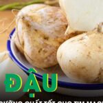 Củ đậu chứa nhiều dưỡng chất tốt cho tim mạch và tiêu hóa
