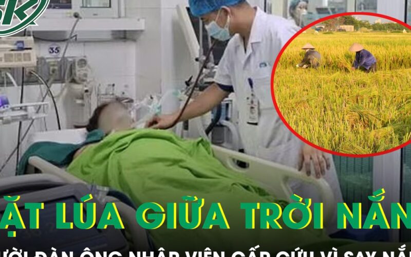 Gặt lúa giữa trời nắng gắt, người đàn ông nhập viện cấp cứu