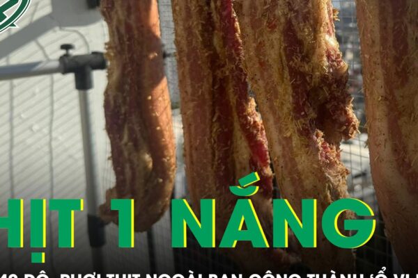 Nắng nóng 40 độ, thịt phơi ngoài ban công thành “ổ vi khuẩn” gây nguy cơ ngộ độc