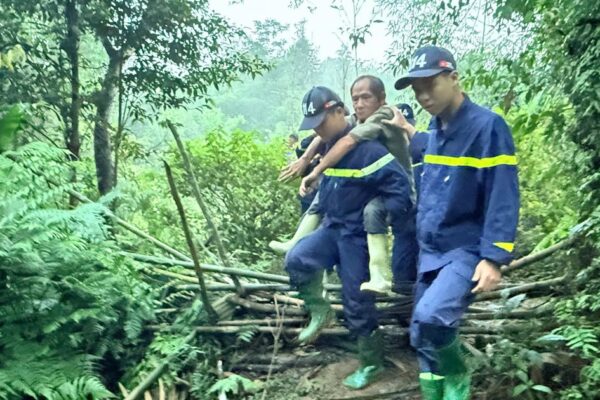 Hơn 300 người tìm kiếm nạn nhân mất tích khi đi hái dược liệu trong rừng ở Tuyên Quang