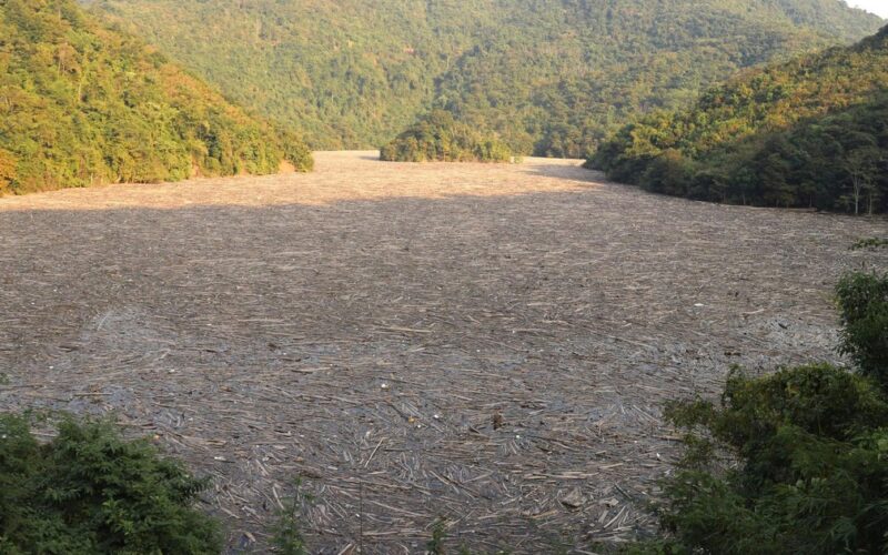 Hơn 30.000m3 rác phủ kín lòng hồ thủy điện Bản Vẽ, Nghệ An chỉ đạo xử lý