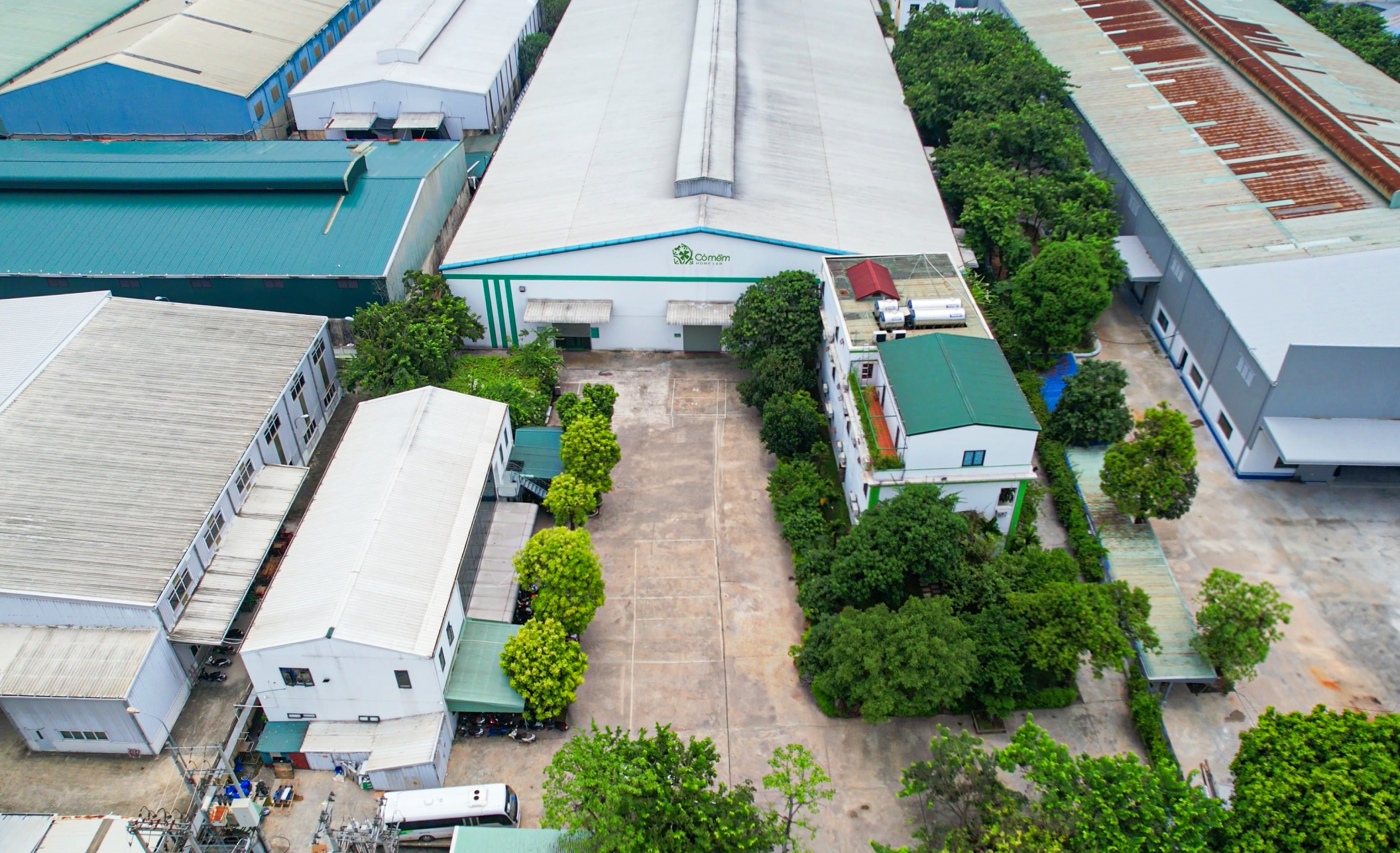 Cỏ Mềm và xu hướng làm đẹp gắn với sức khỏe cộng đồng- Ảnh 2.
