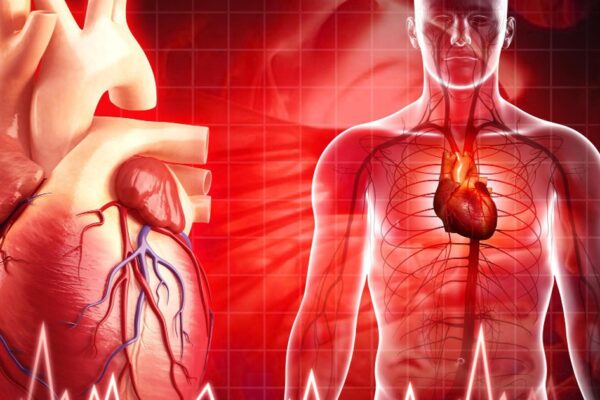 Mỡ máu cao – ‘kẻ giết người thầm lặng’ không gõ cửa báo trước