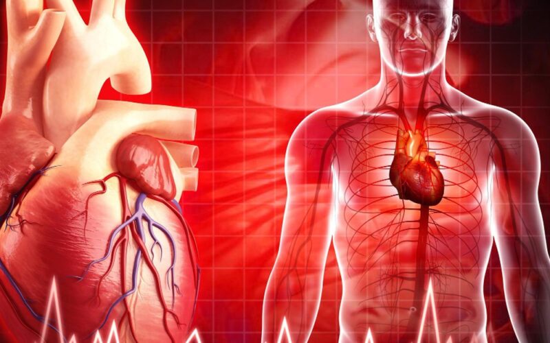 Mỡ máu cao – ‘kẻ giết người thầm lặng’ không gõ cửa báo trước