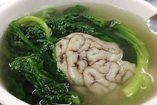 Thực hư việc ăn gì bổ nấy