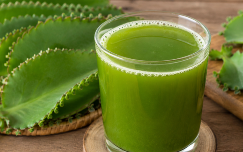 10 tác dụng của nước ép lá bỏng đối với sức khỏe