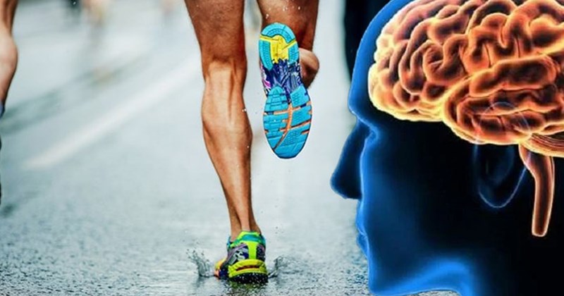 photo-1780374003546-1780374004644429566886 7 cách tự nhiên cải thiện trí nhớ- Ảnh 1.