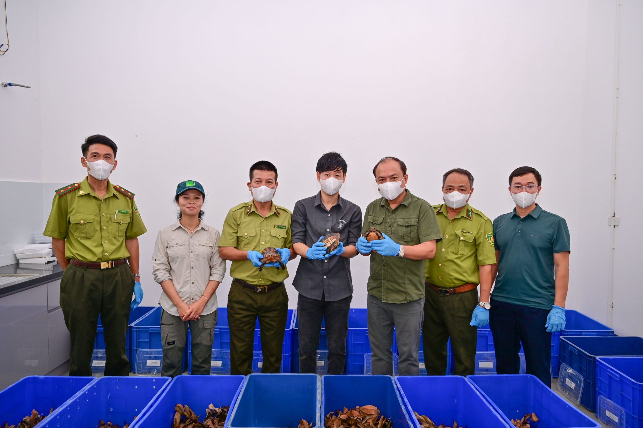 rua-hoi-huong-4-1778721113347572911608 Vườn quốc gia Cúc Phương tiếp nhận lô rùa quý hiếm hồi hương từ Hàn Quốc- Ảnh 1.