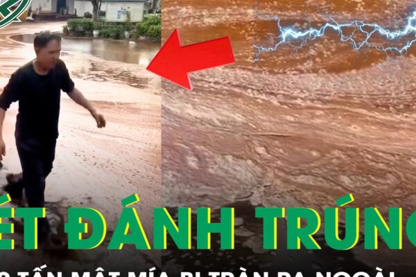 Sét đánh trúng nhà máy đường, 2.000 tấn mật mía tràn ra ngoài gây thiệt hại hàng tỷ đồng