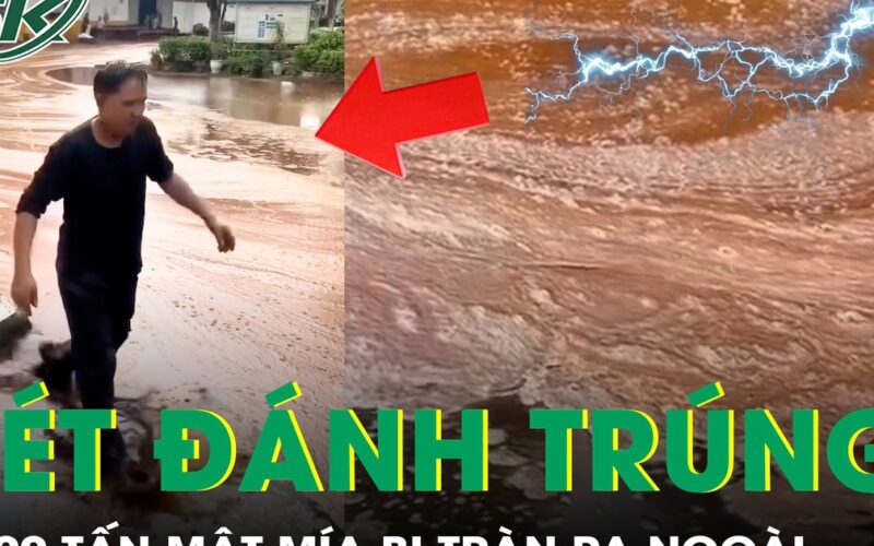 Sét đánh trúng nhà máy đường, 2.000 tấn mật mía tràn ra ngoài gây thiệt hại hàng tỷ đồng