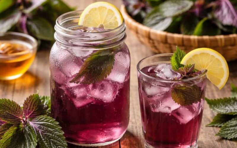 4 nhóm người không nên uống nước lá tía tô hàng ngày