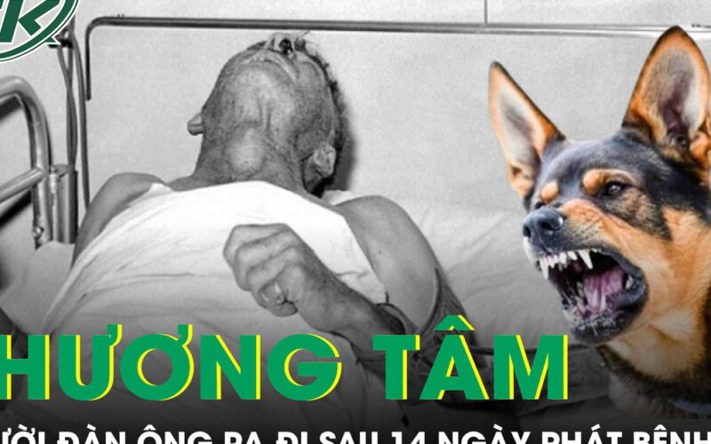 Người đàn ông 72 tuổi ra đi thương tâm sau 14 ngày phát bệnh dại
