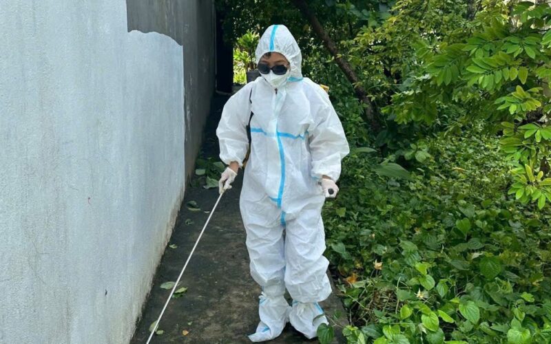 Bé gái 14 tuổi tại Thanh Hóa tử vong do viêm não Nhật Bản
