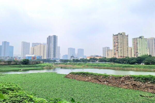 Cận cảnh công viên hồ điều hòa trên ‘đất vàng’ giữa Thủ đô bị bỏ hoang suốt 16 năm