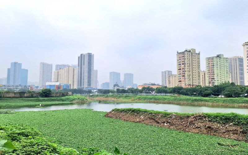 Thời Sự