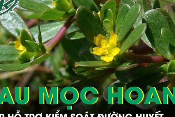 Loại rau mọc đầy bờ ruộng được ví như ‘kho báu’ giúp hỗ trợ kiểm soát đường huyết