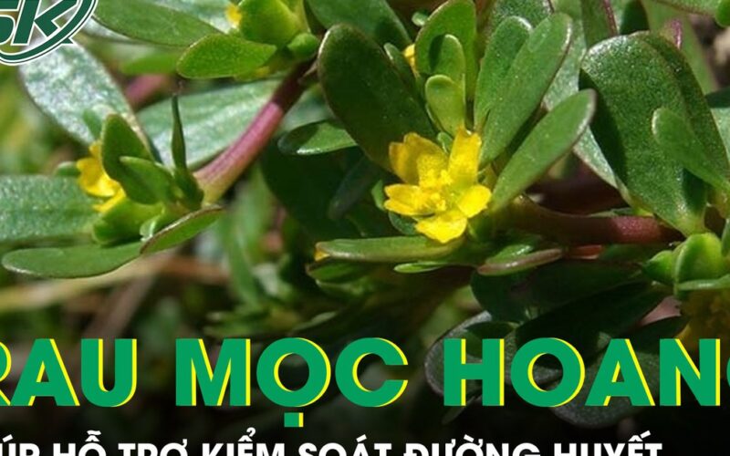 Loại rau mọc đầy bờ ruộng được ví như ‘kho báu’ giúp hỗ trợ kiểm soát đường huyết