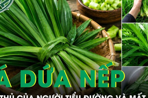 Loại lá rẻ tiền bán đầy chợ được ví như trợ thủ của người tiểu đường và mất ngủ