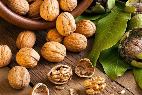 8 thực phẩm giúp bồi bổ dương khí theo y học cổ truyền