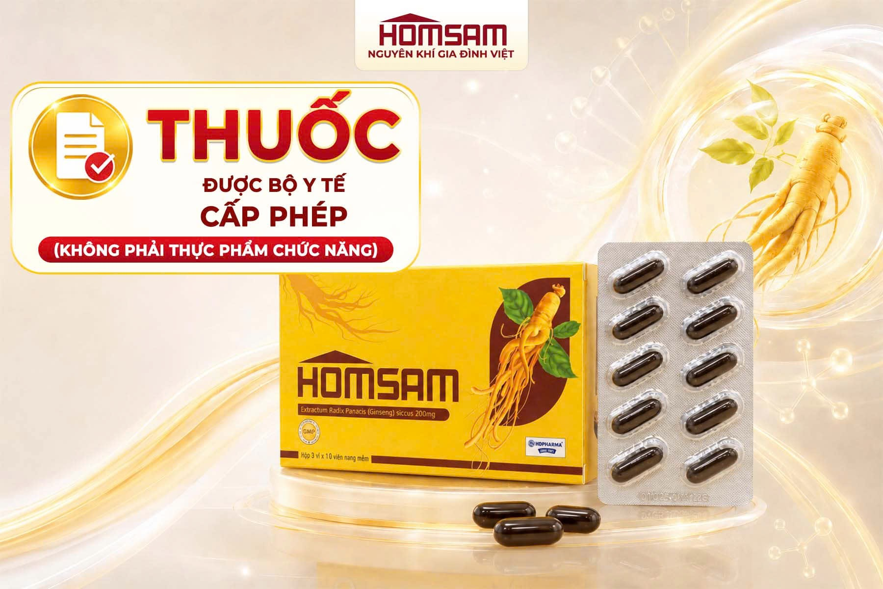 Homsam, nhân sâm đăng ký dạng thuốc- Ảnh 3.