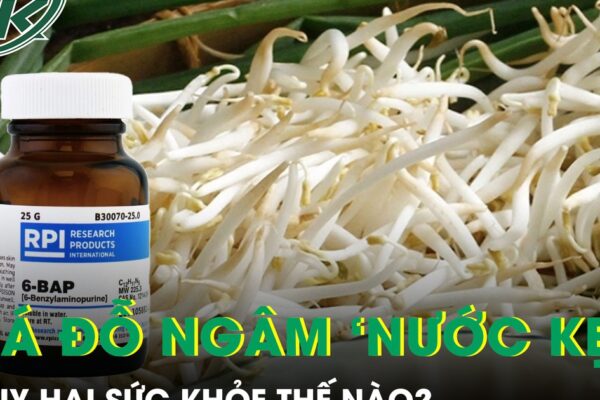 Giá đỗ ngâm hóa chất tuồn ra thị trường nguy hại sức khỏe thế nào?