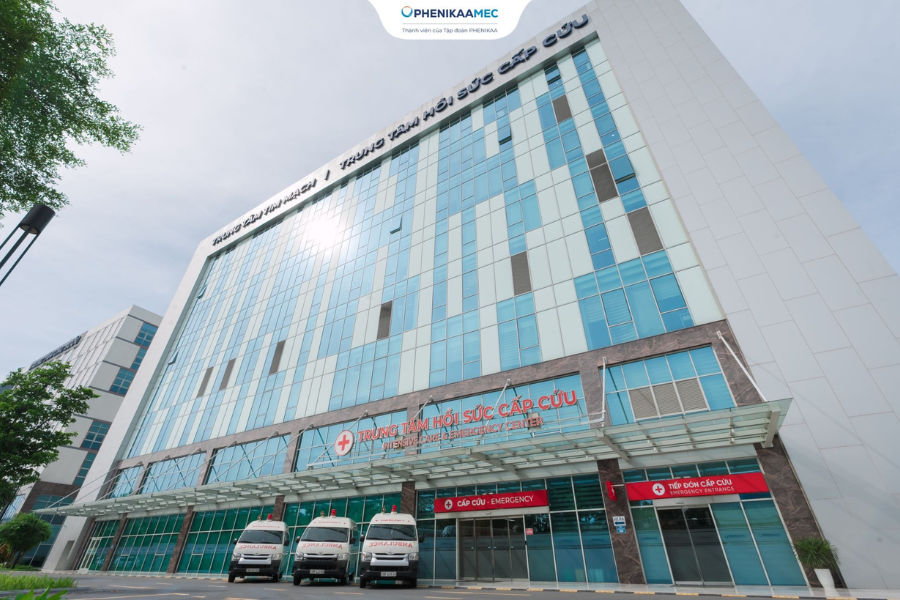 Hồi sức cấp cứu và chăm sóc giảm nhẹ nâng đỡ người bệnh ung thư giai đoạn cuối tại PhenikaaMec- Ảnh 3.