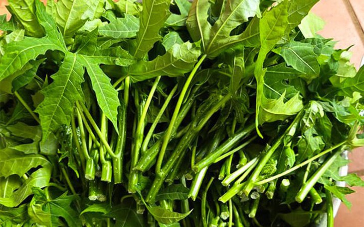 Cây rau mì chính ăn như thế nào?