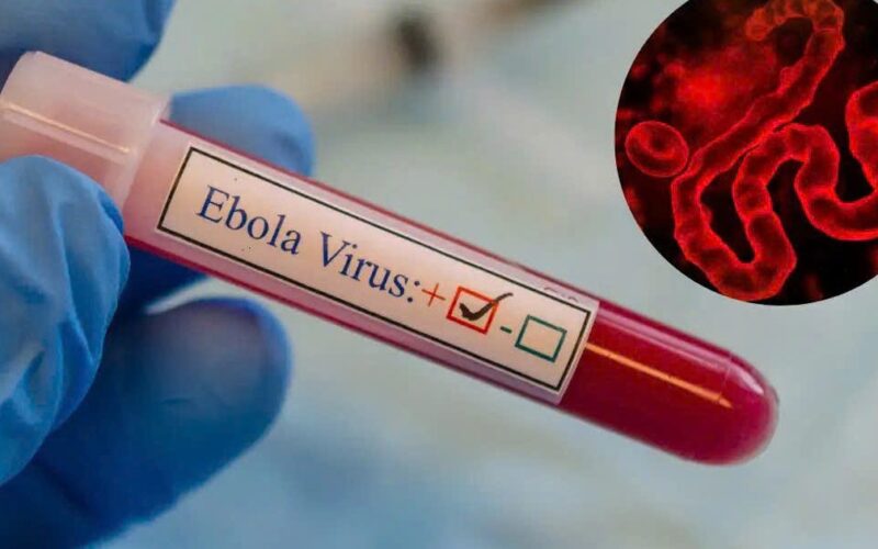 TPHCM tăng cường giám sát trước nguy cơ dịch Ebola xâm nhập