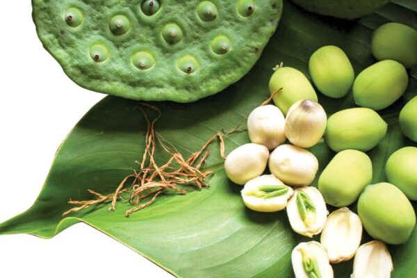 Ăn hạt sen hàng ngày có tốt không?