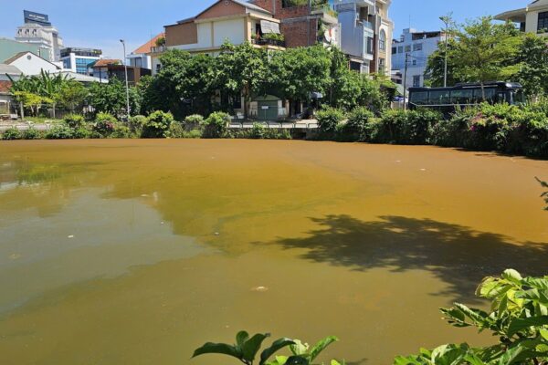 Mặt nước hồ Trái Tim ở Huế xuất hiện váng, đổi màu bất thường