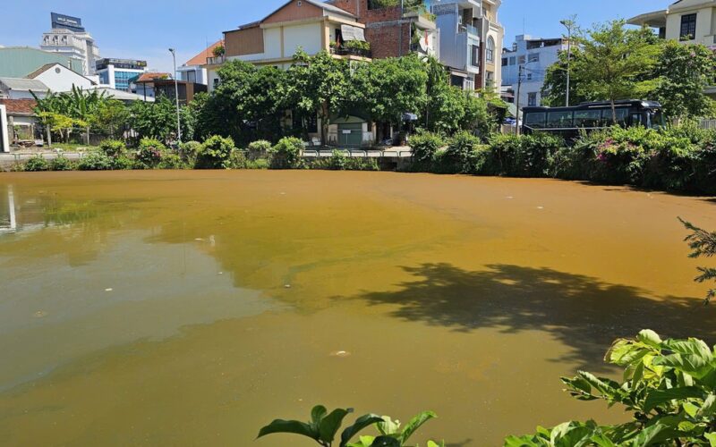 Mặt nước hồ Trái Tim ở Huế xuất hiện váng, đổi màu bất thường
