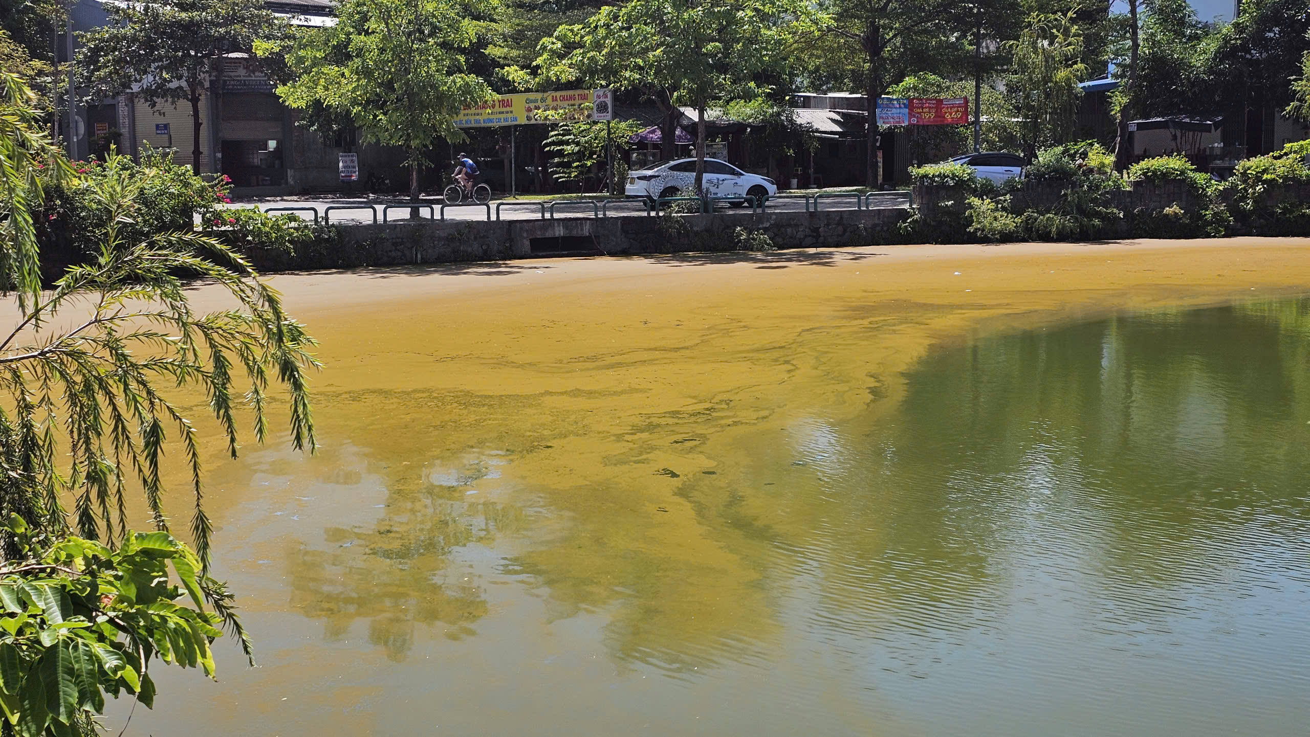 ho-trai-tim-o-hue-xuat-hien-vang-doi-mau-bat-thuong-4-17795078434041511052322 Mặt nước hồ Trái Tim ở Huế xuất hiện váng, đổi màu bất thường- Ảnh 2.