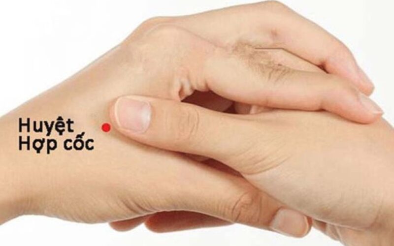 Các huyệt vị hỗ trợ giảm đau nửa đầu