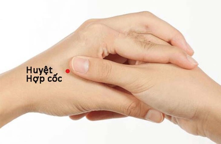 Các huyệt vị hỗ trợ giảm đau nửa đầu- Ảnh 1.