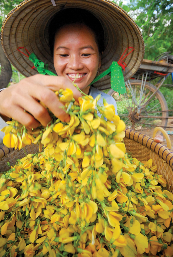 nhung-mon-ngon-thuoc-quy-tu-bong-dien-dien1497771388 Bông điên điển hỗ trợ làm đẹp da như thế nào? - Ảnh 2.