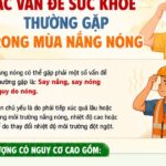 Các vấn đề sức khỏe thường gặp mùa nắng nóng và cách xử trí