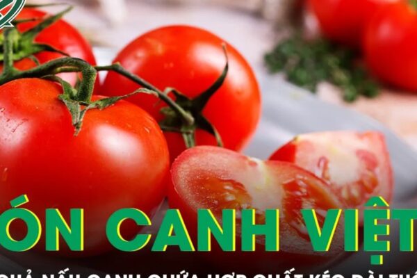 Loại quả xuất hiện trong món canh Việt âm thầm giúp kéo dài tuổi thọ